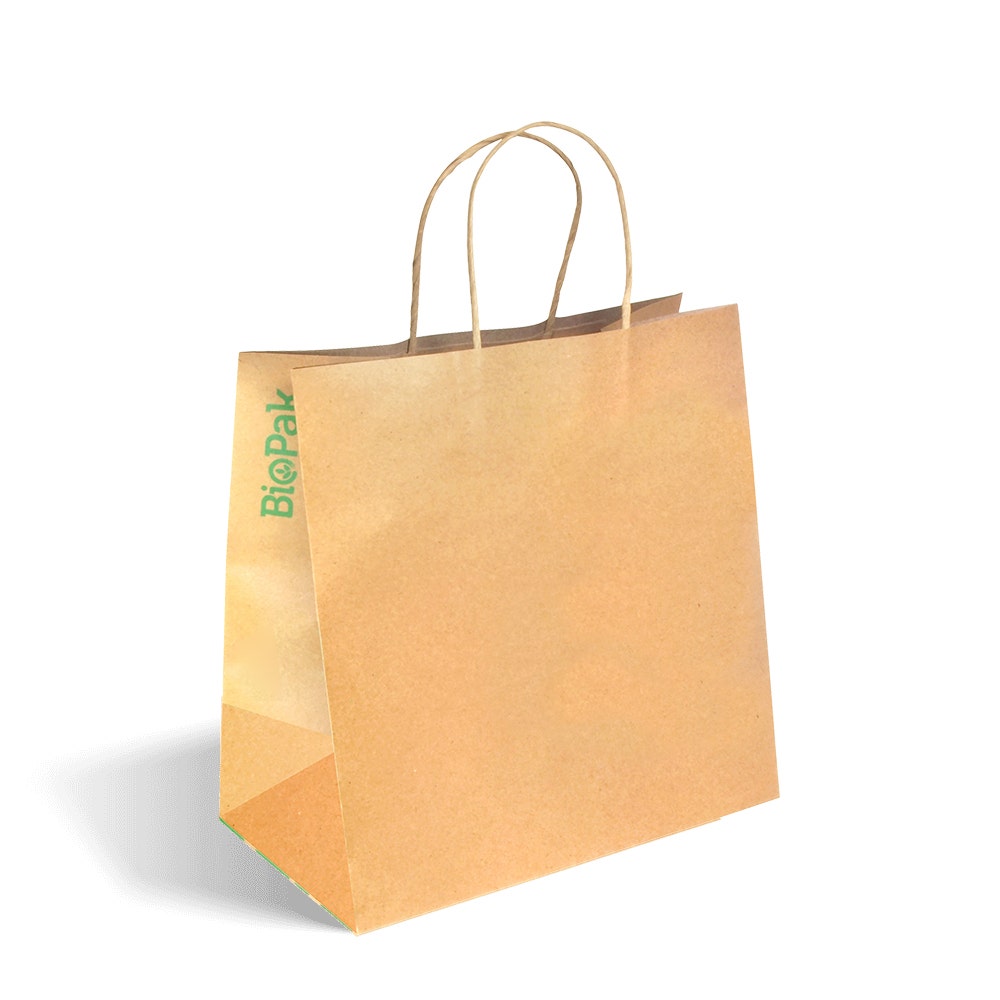 300x170x305mm Large Twist Handle Kraft Paper Bags 1